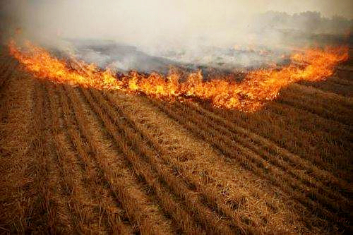 ��������������¹��ϷҰͺչ�˾��ESATPOINT GLOBAL��˾��̬�������װ������