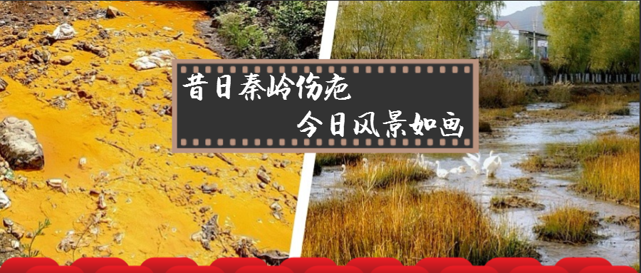 ���������˰� ���վ����续����mg����ͻ�Ƽ��Ż�����������Ⱦ�������