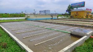 ��������������ˮ���óͷ�����Ŀ