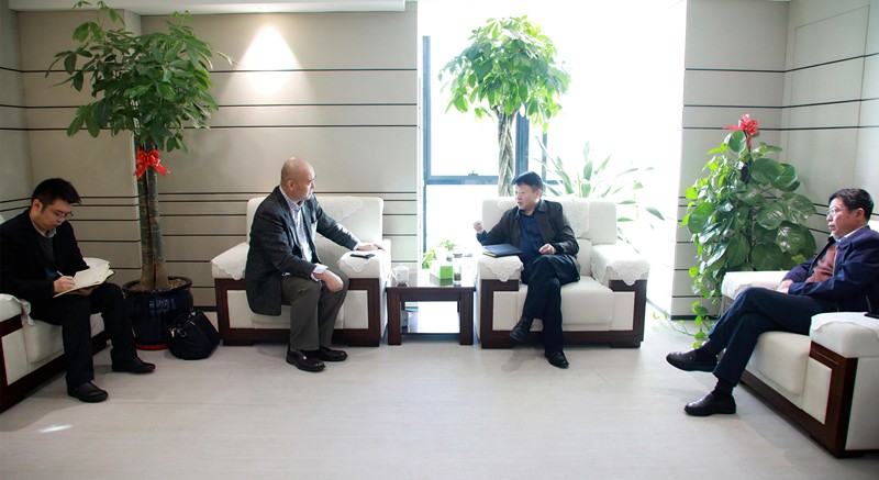 ���������������ѯ��˾���³����ܲð����