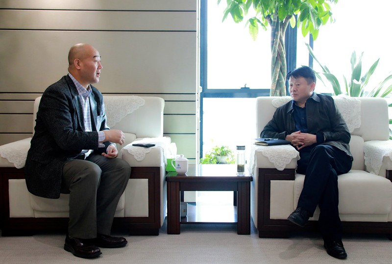 ���������������ѯ��˾���³����ܲð����