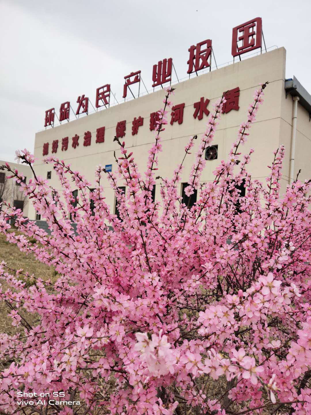 ��������������Ũ����Ӱ��Ʒ�����������Ʒչʾ������