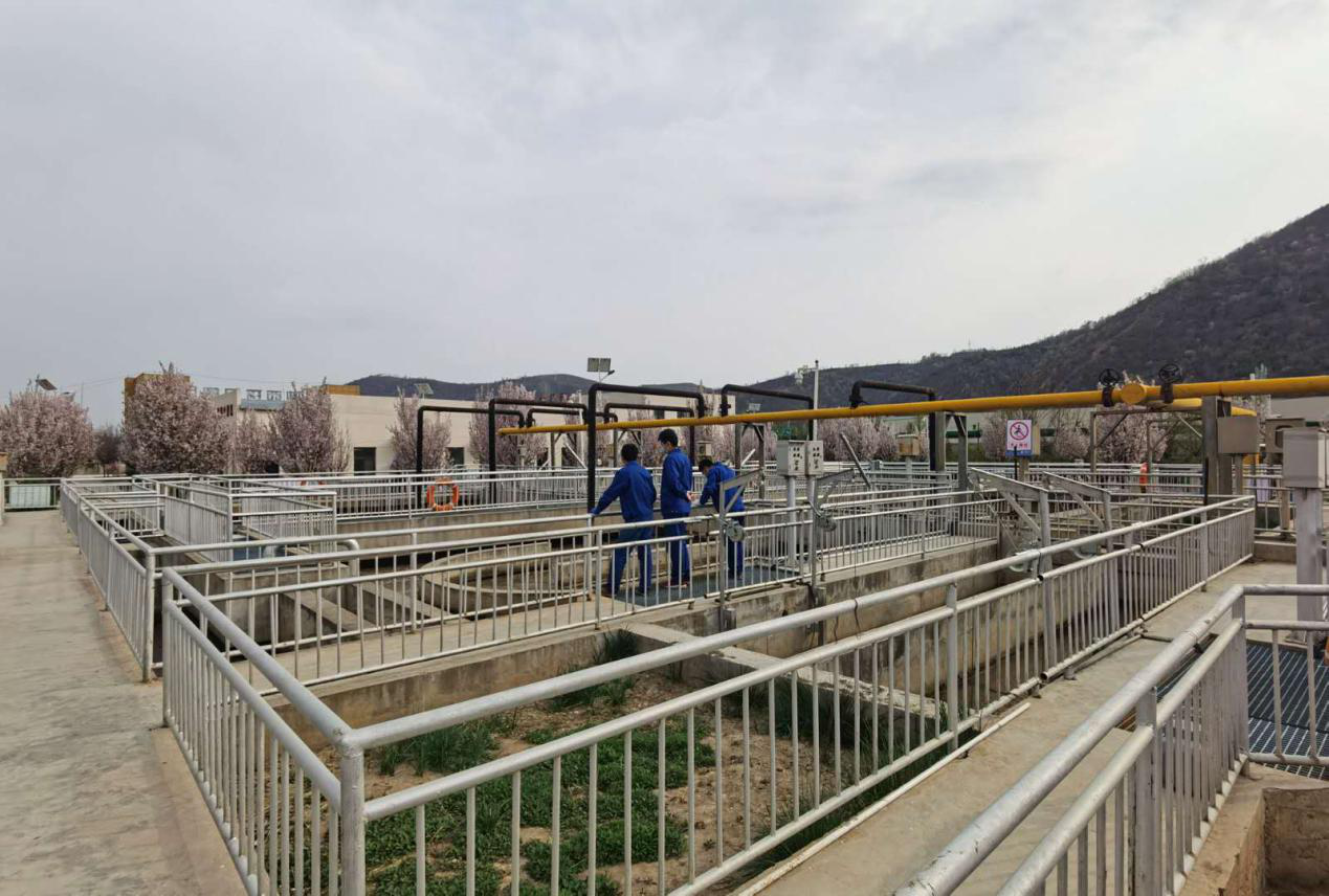 ��������������Ũ����Ӱ��Ʒ�����������Ʒչʾ������