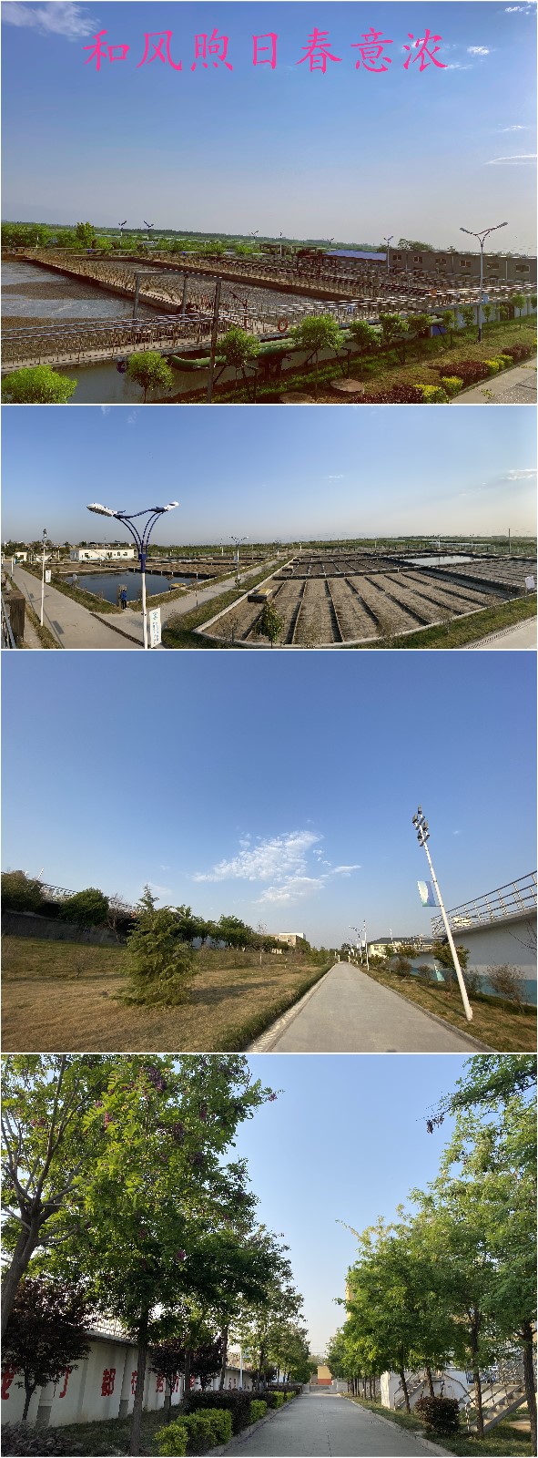 ��������������Ũ����Ӱ��Ʒ�����������Ʒչʾ������