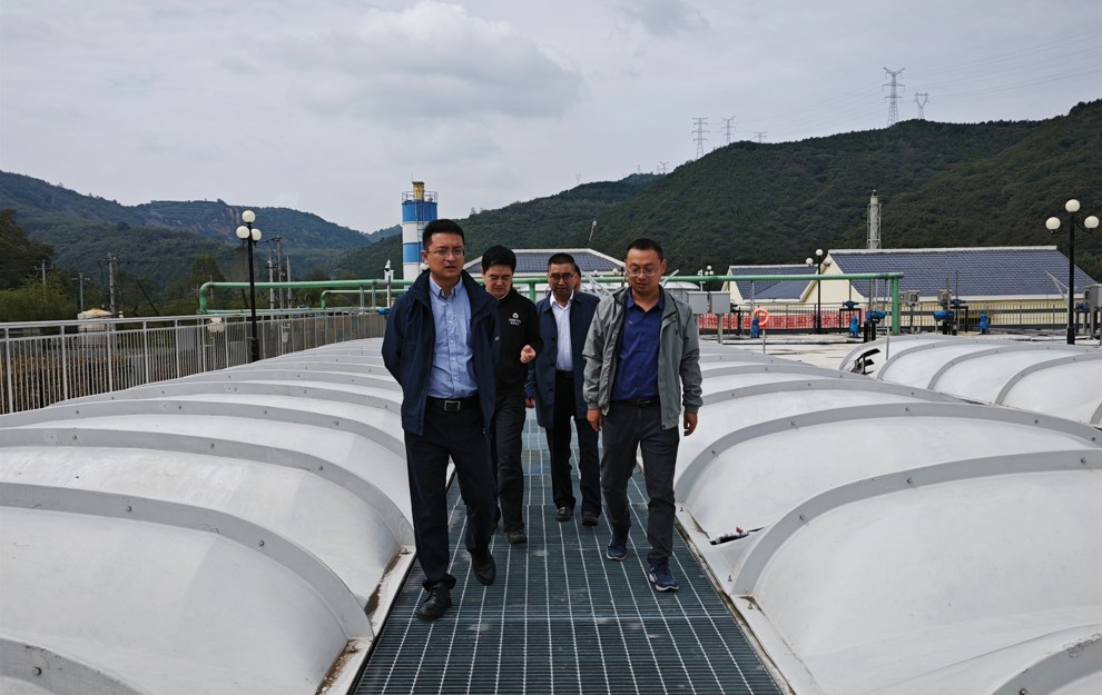 �����ԡ��Ĳ���ֱ�����������ֳ�һ�߶��������������ǰ�徲��������