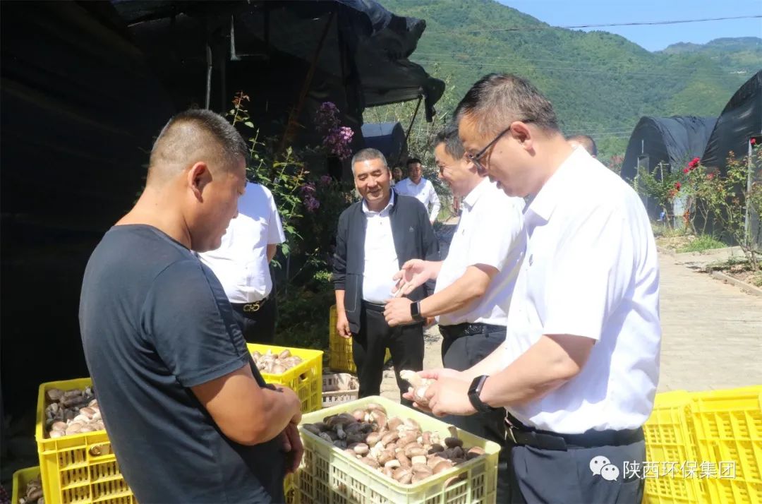 �¾�����̫���ص�����������פ��������