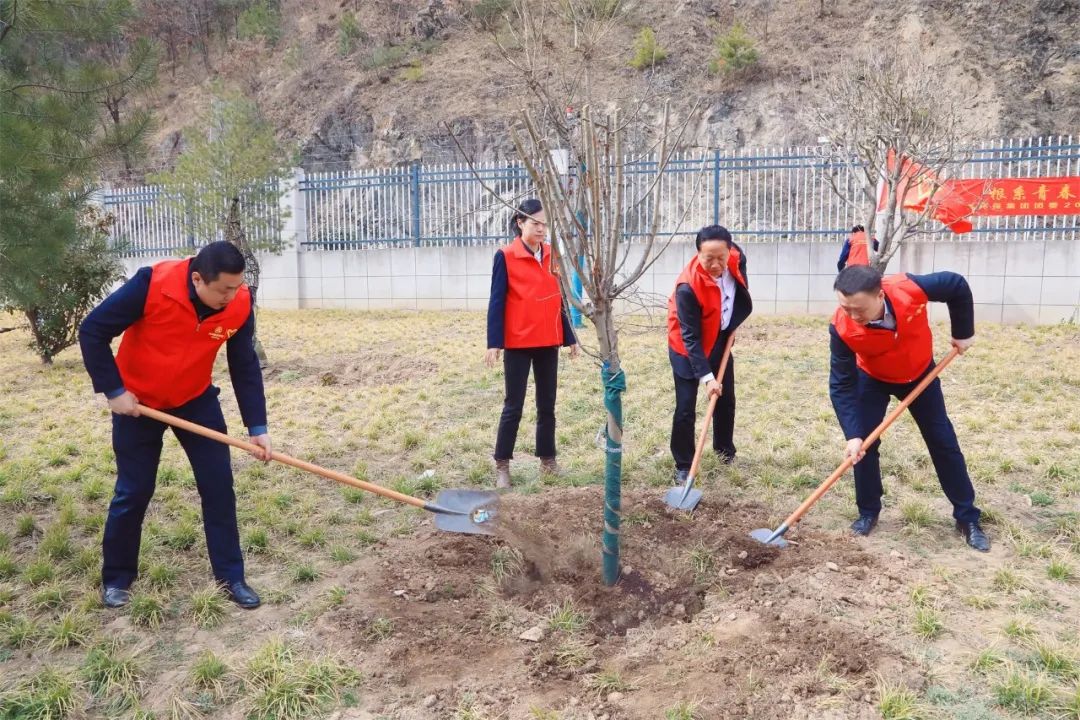 ��ϵ�ഺ��ֲ�����̣�mg����ͻ�Ƽ�����ί��չ����ֲ����Ը�